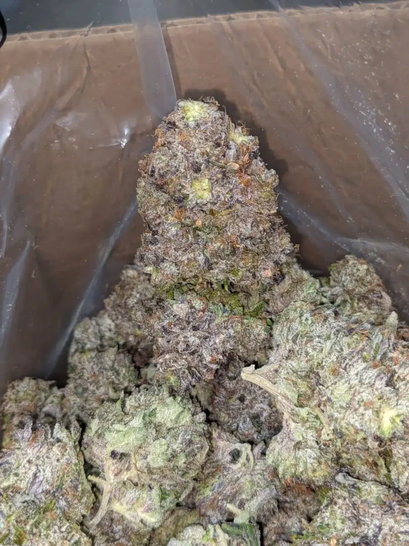 Obama Kush AAAA - Image 7