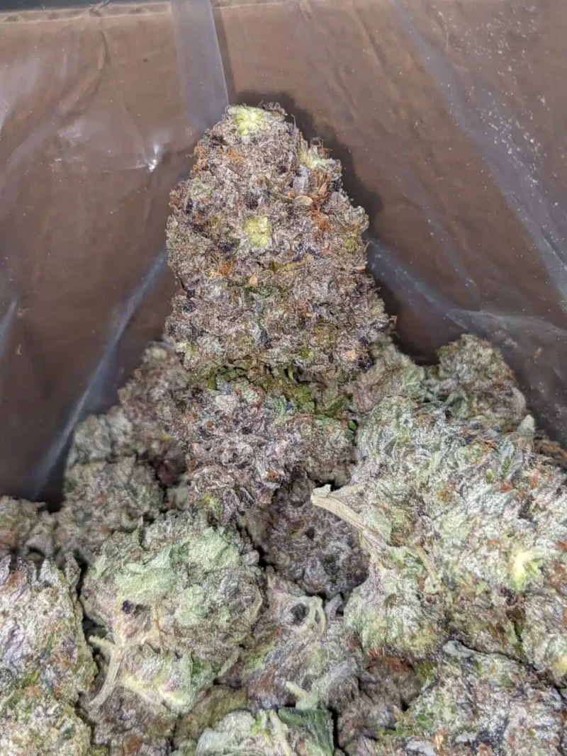Obama Kush AAAA - Image 6
