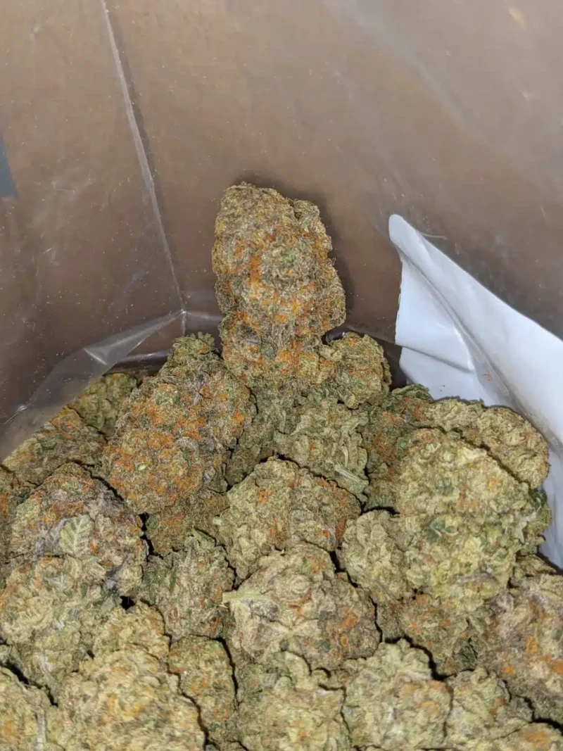 Orange Candy - Image 7
