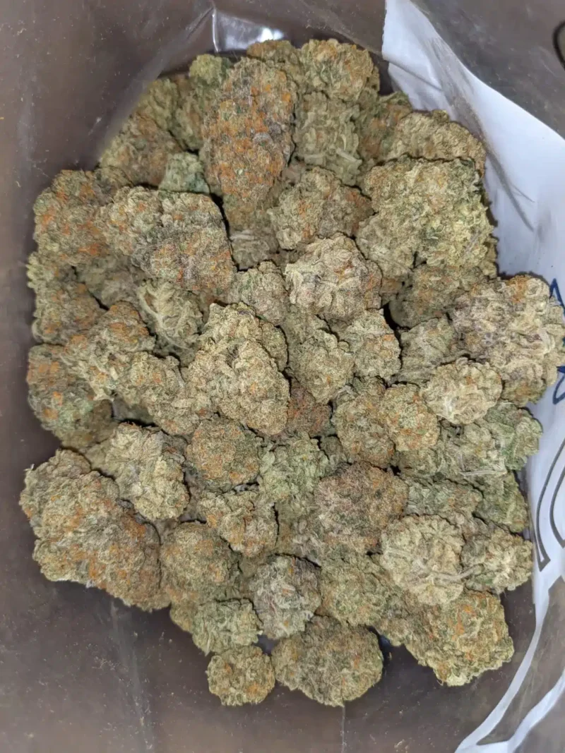 Orange Candy - Image 6