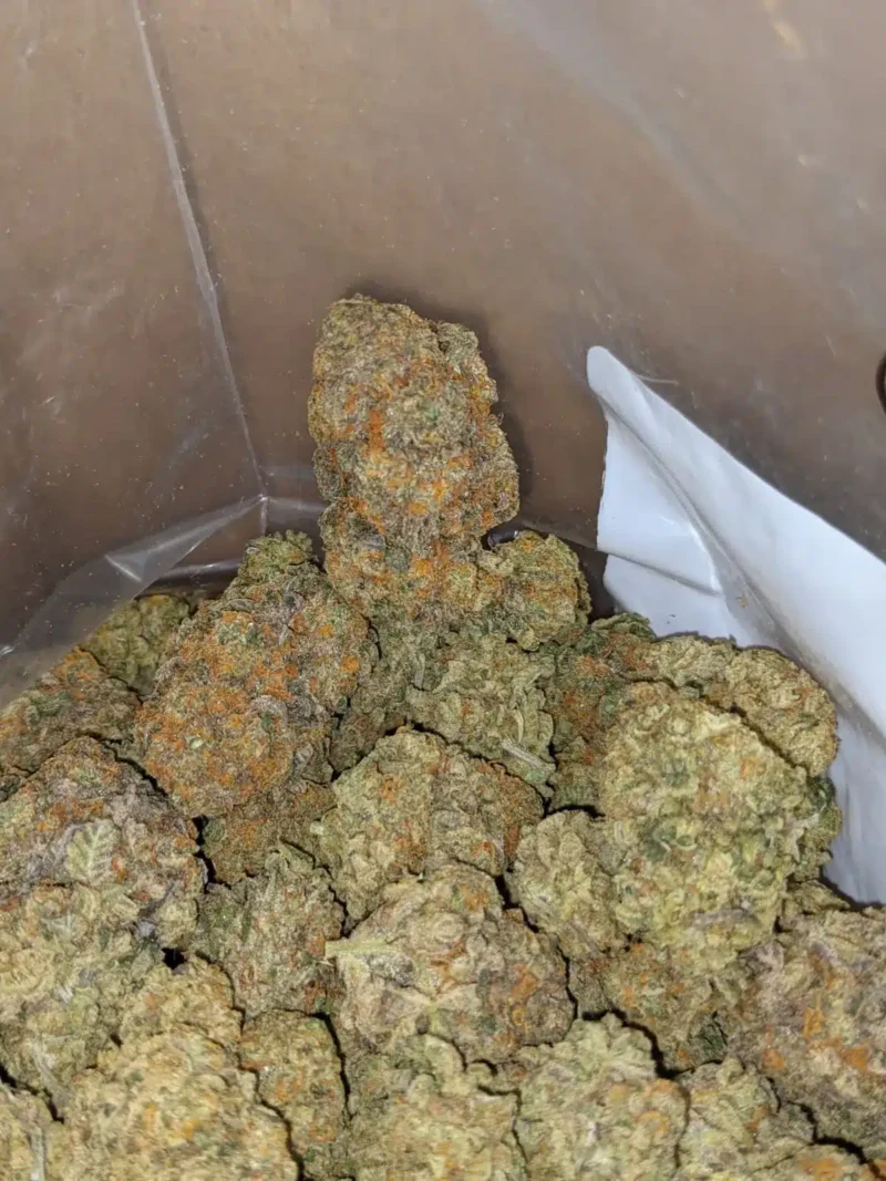 Orange Candy - Image 4