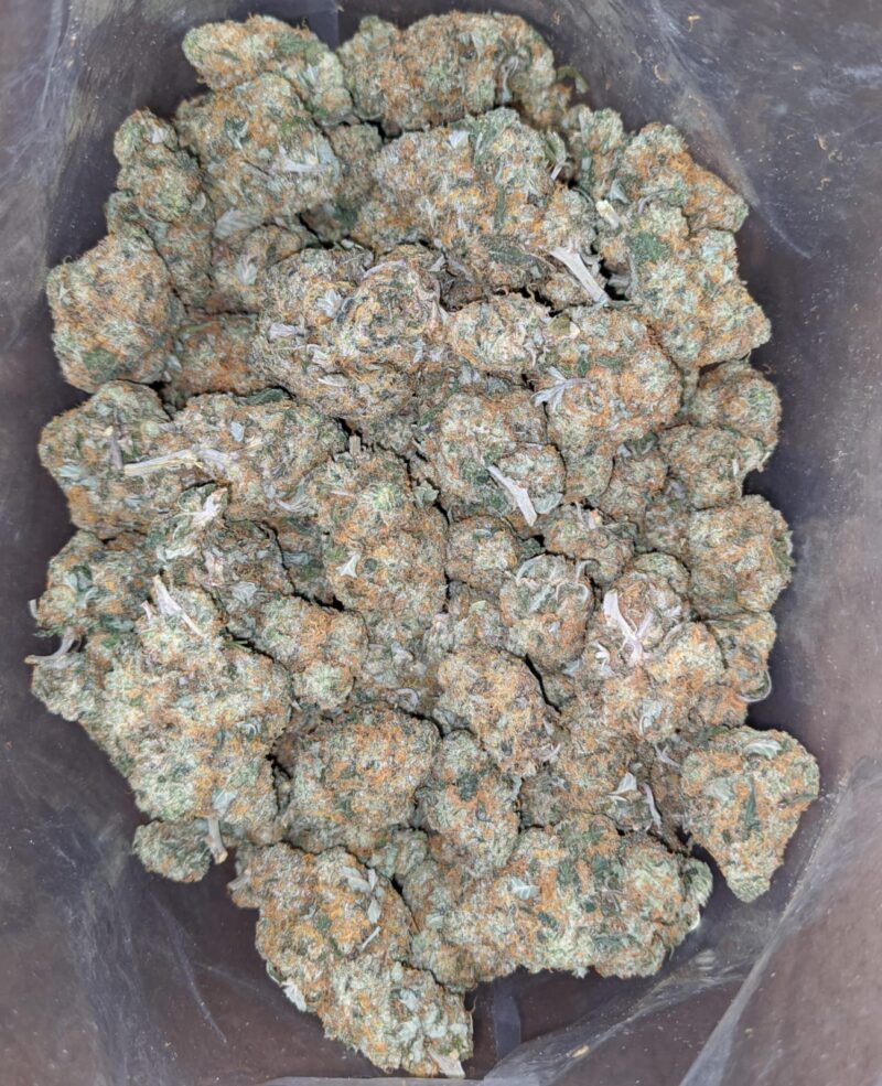 Orange Cookies - Image 5