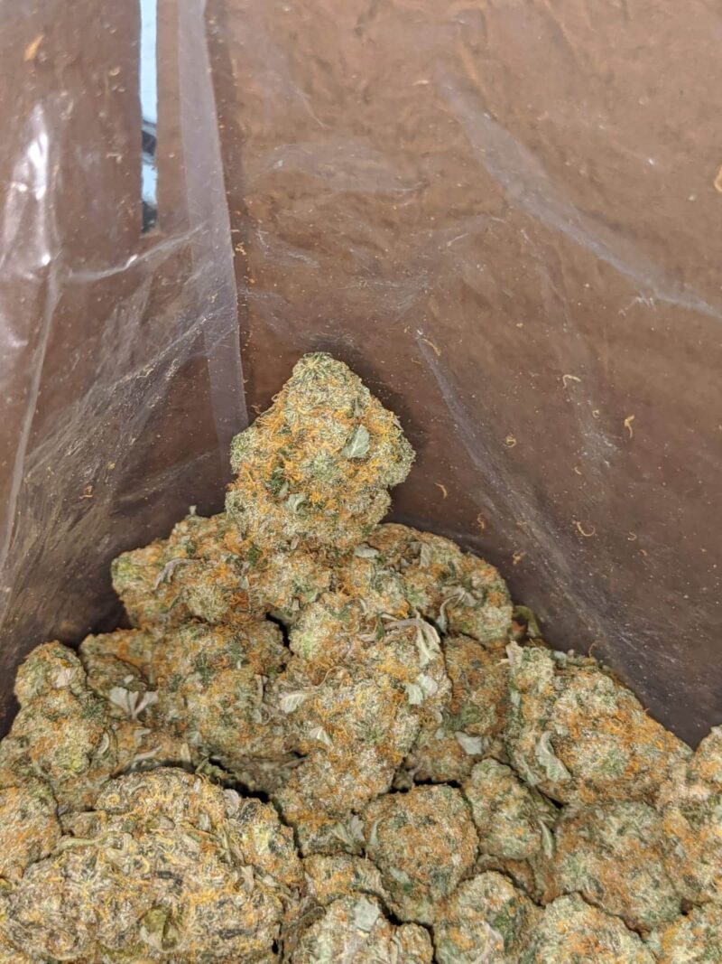 Orange Cookies - Image 4