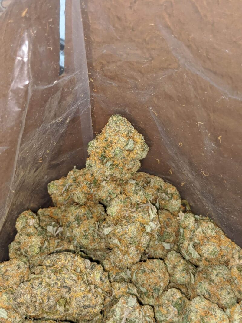 Orange Cookies - Image 7