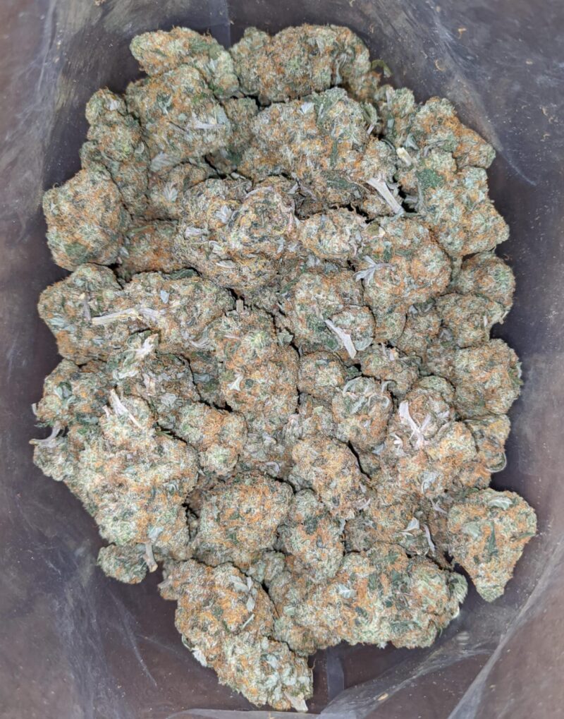 Orange Cookies - Image 6