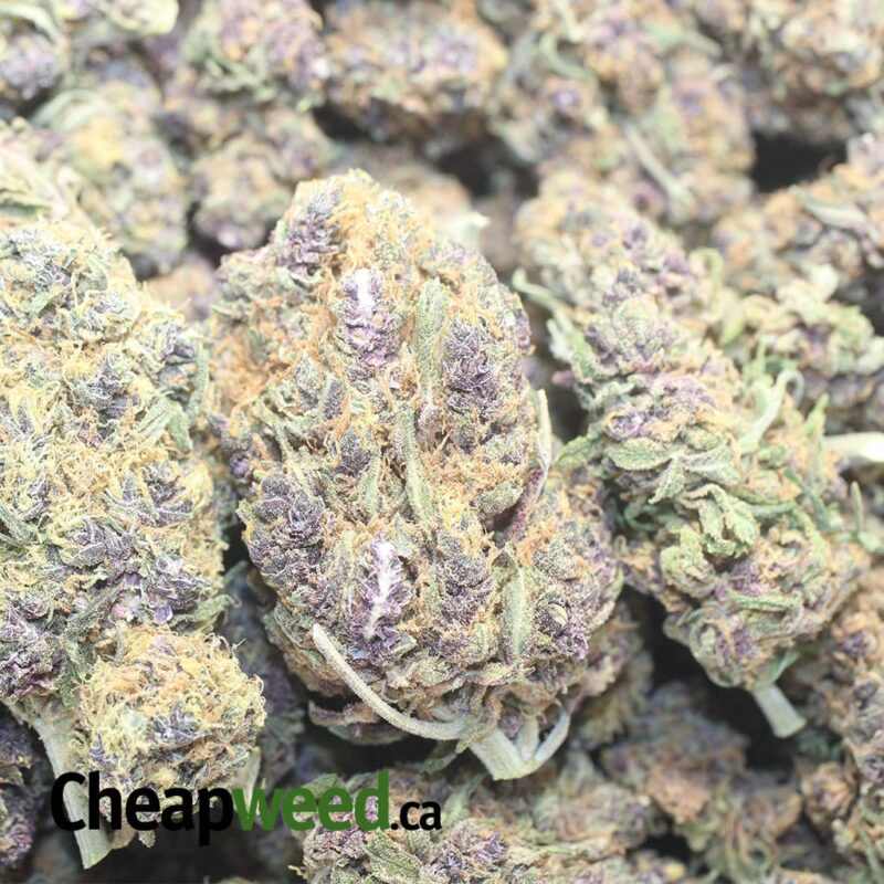 Purple Acai Berry - Image 3