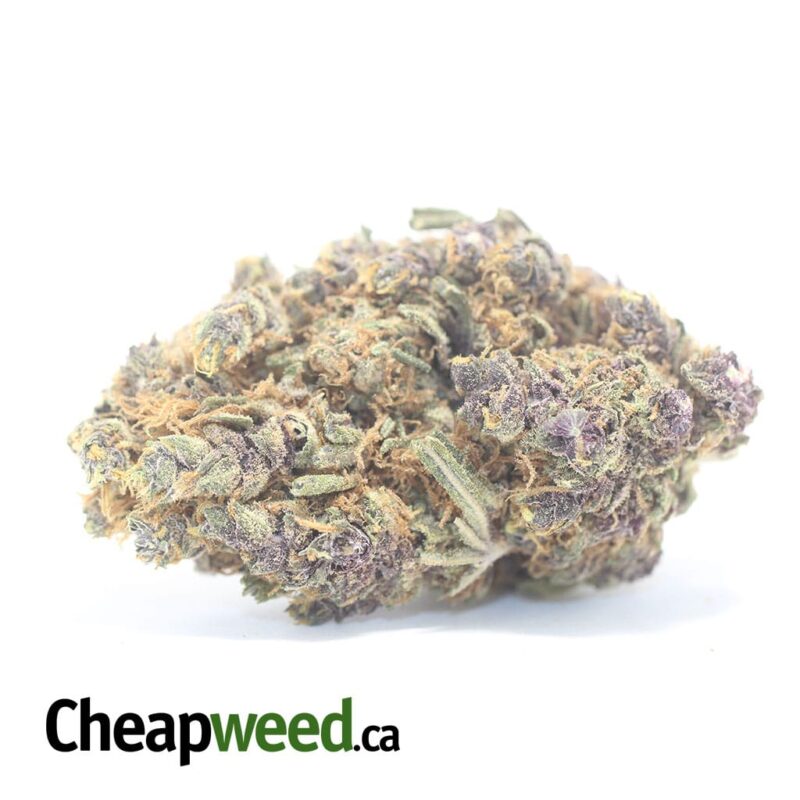 Purple Acai Berry