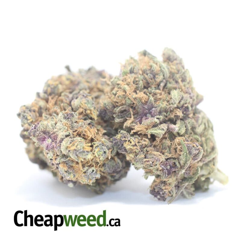 Purple Acai Berry - Image 2