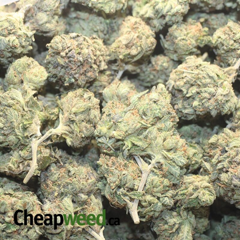Afghani Kush - Image 3