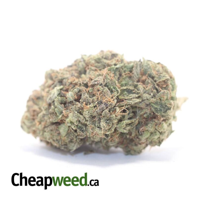 Afghani Kush