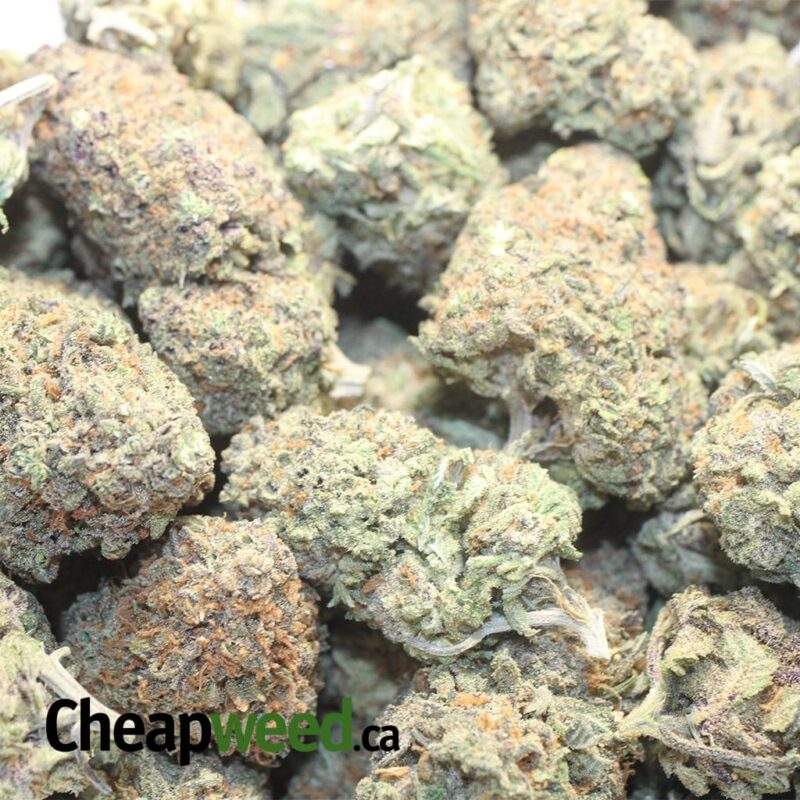 Purple Crack - Image 3