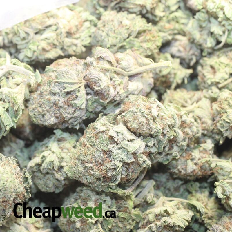 Purple Frost - Image 3