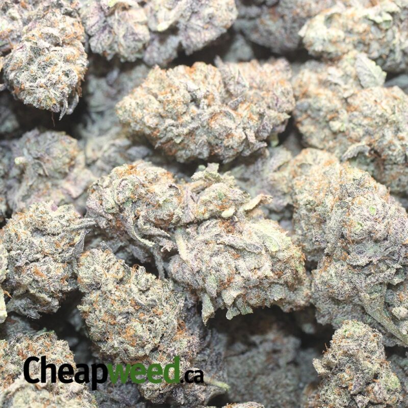 Purple Icewreck - Image 3