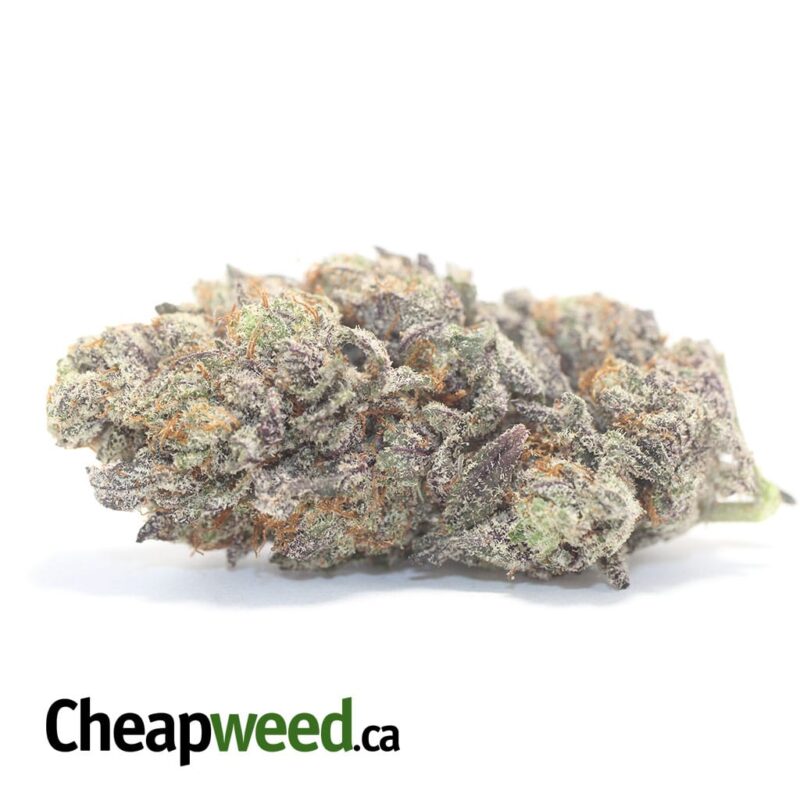 Purple Icewreck