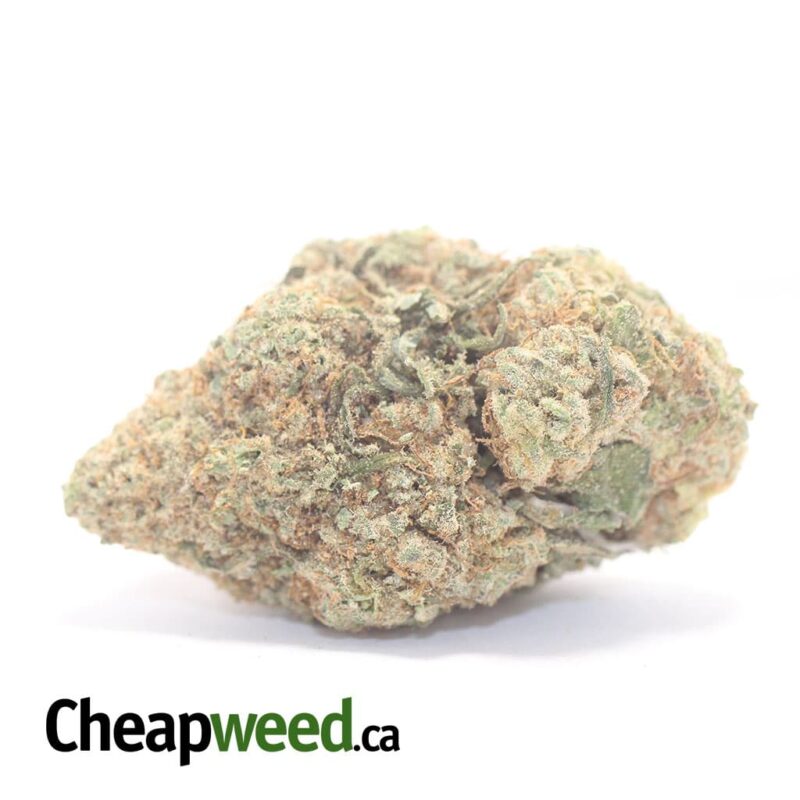 Pineapple Citrix
