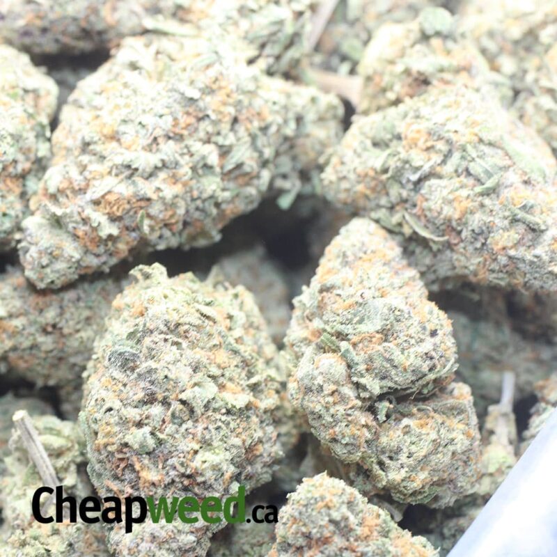 Peach Crescendo - Image 3