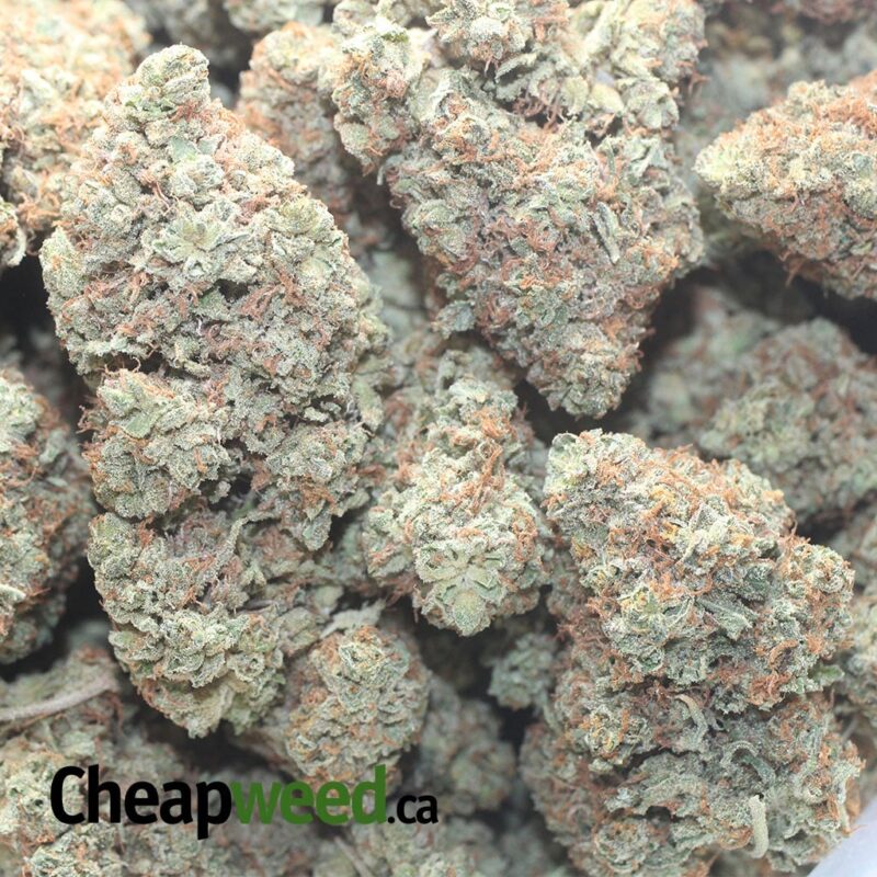 Peach Kush - Image 3