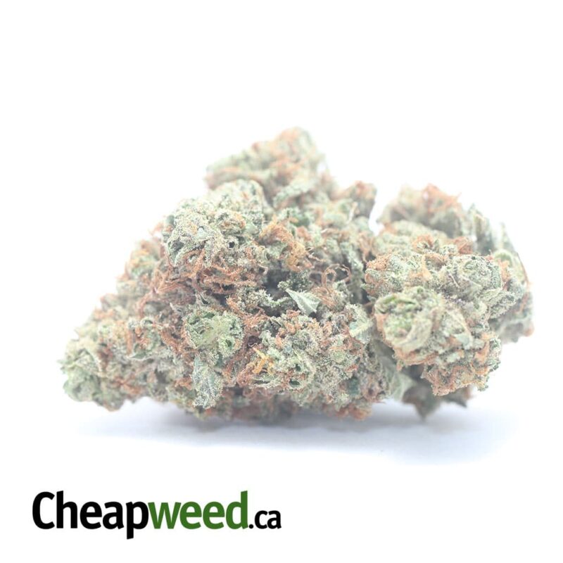 Peach Kush