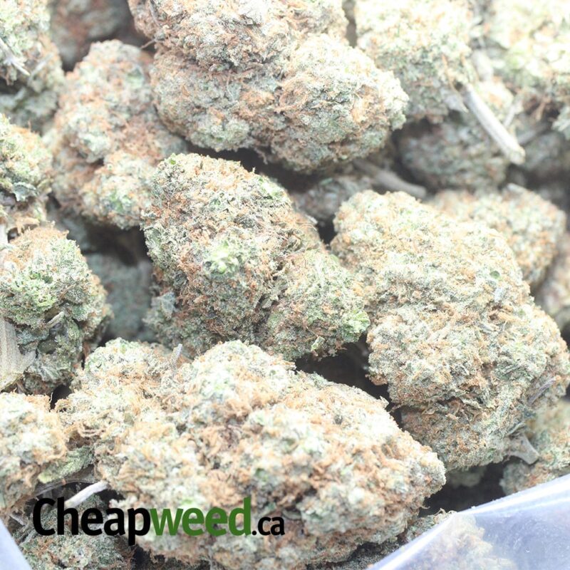 Peaches and Cream - Image 3