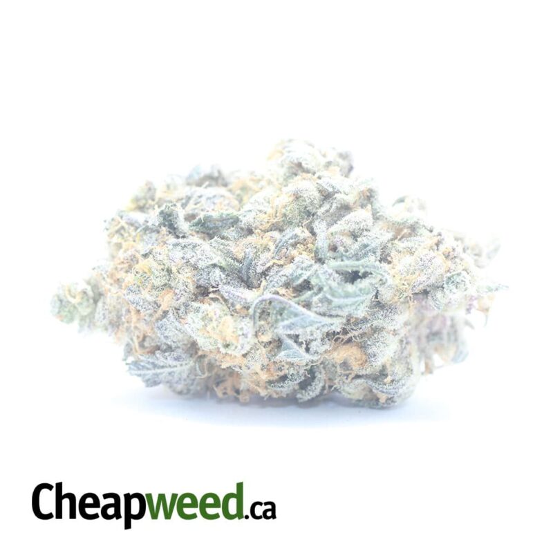 Peanut Butter Breath