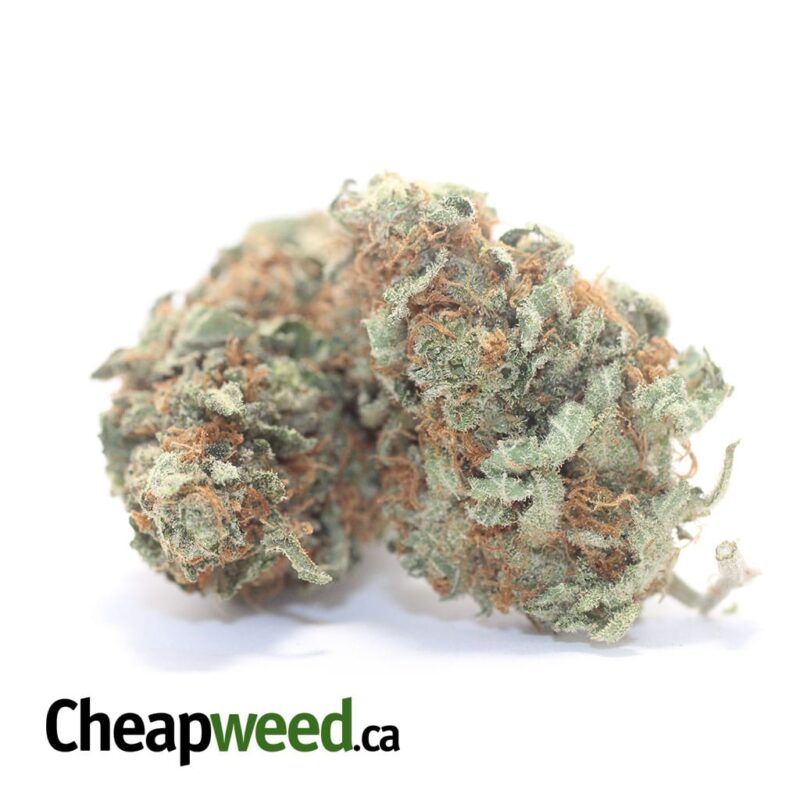Pineapple Diesel - Image 2