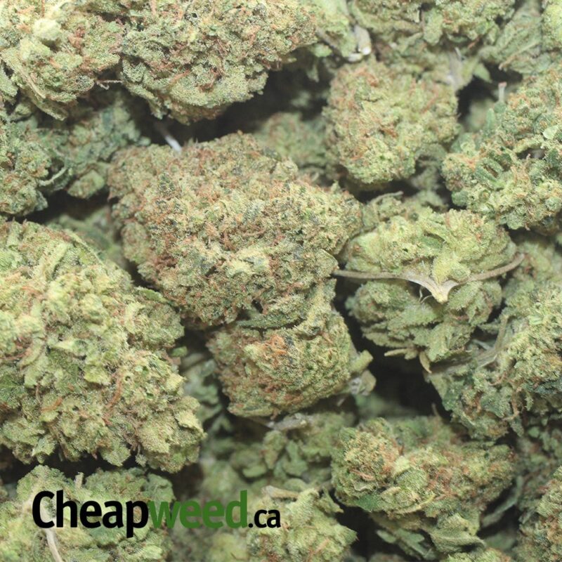 Pineapple Express AAA - Image 3