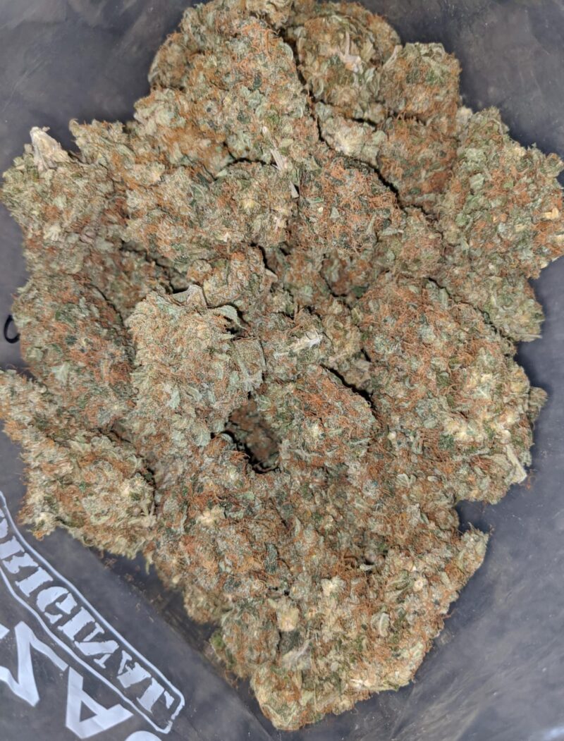 Pineapple Skunk