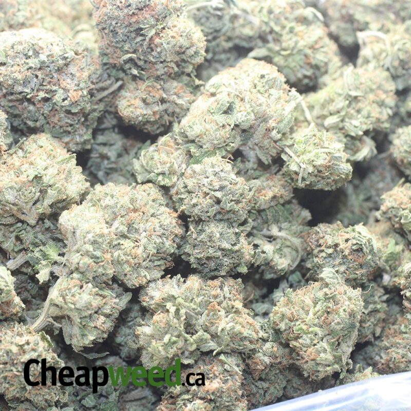 Pink Bubba #2 - Image 3