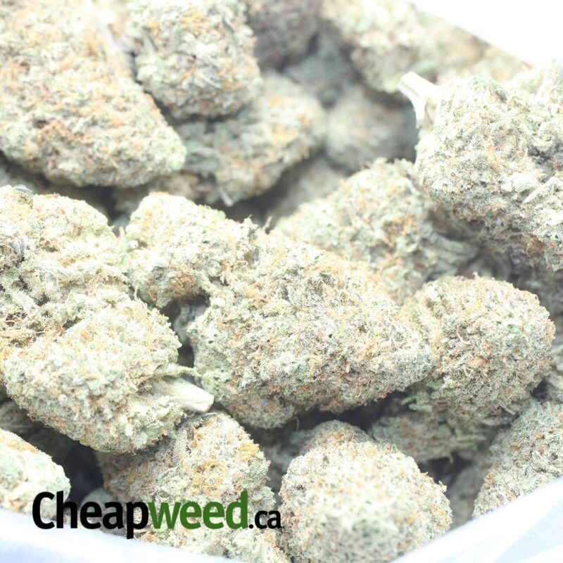 Pink Cookies - Image 3