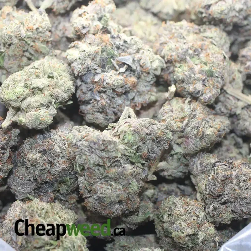 Pink Death AAA - Image 3