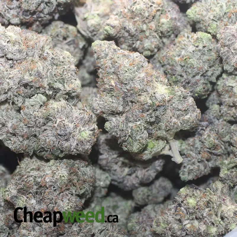 Pink Death Star #2 - Image 3