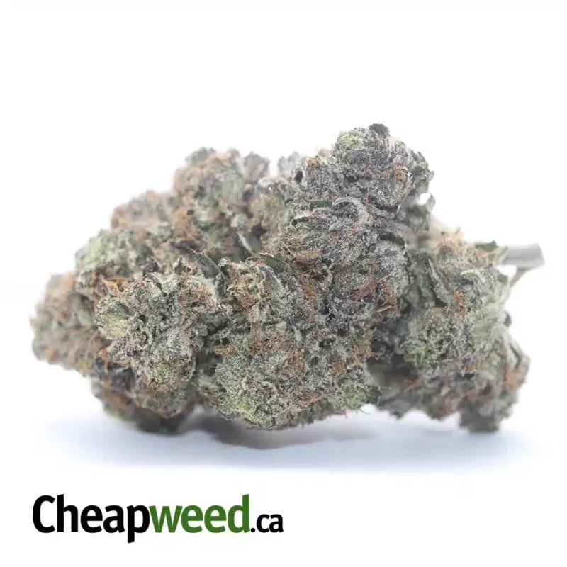 Pink Death Star #2