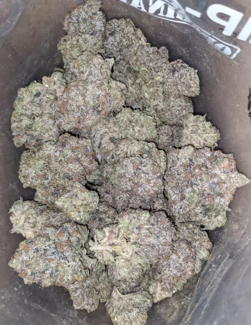 Pink Death Star - Image 5