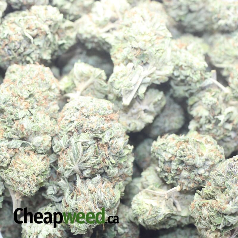 Pink Gas #2 - Image 3