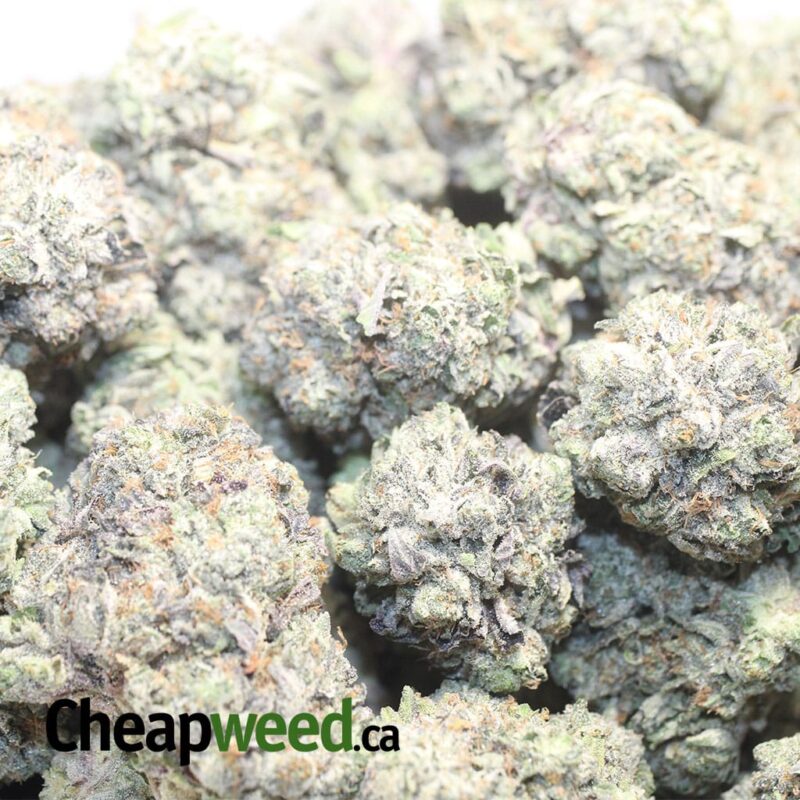Pink Goo AAAA #2 - Image 3