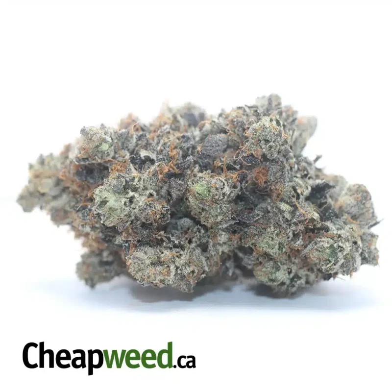 Pink Kush
