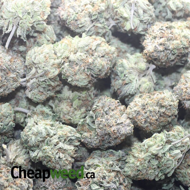 Pink Kush AAA - Image 3