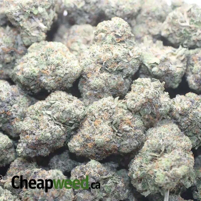 Pink OG - Image 3