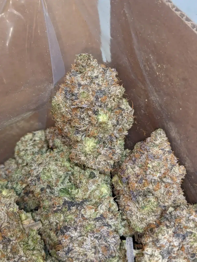 Pink Rockstar #2 - Image 5