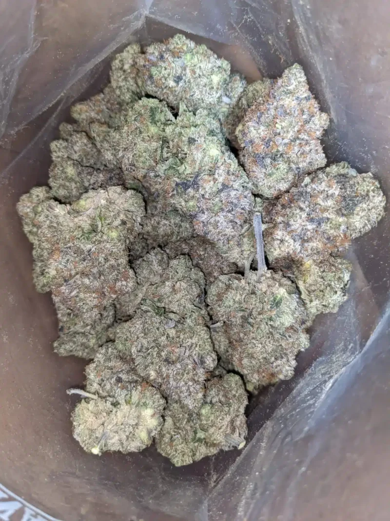 Pink Rockstar #2