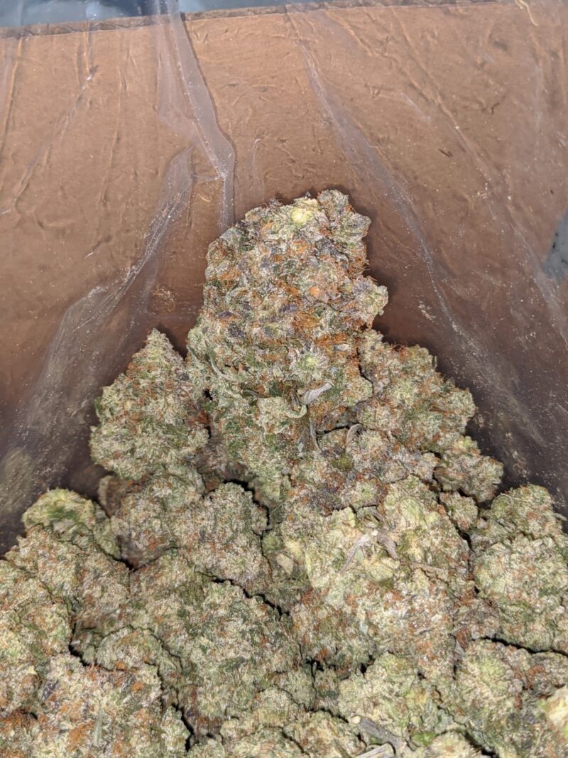 Pink Rozay - Image 5