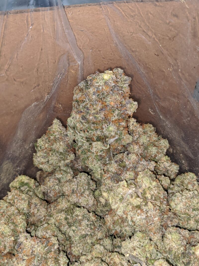 Pink Rozay - Image 4