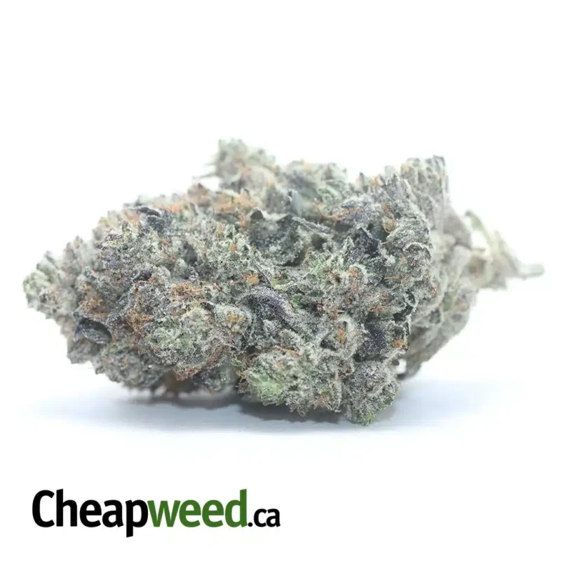 Pink Tuna Kush