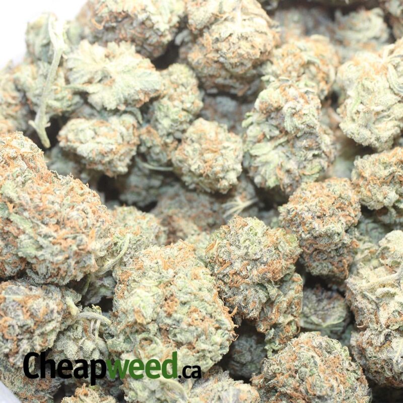Platinum Bubba Kush - Image 3