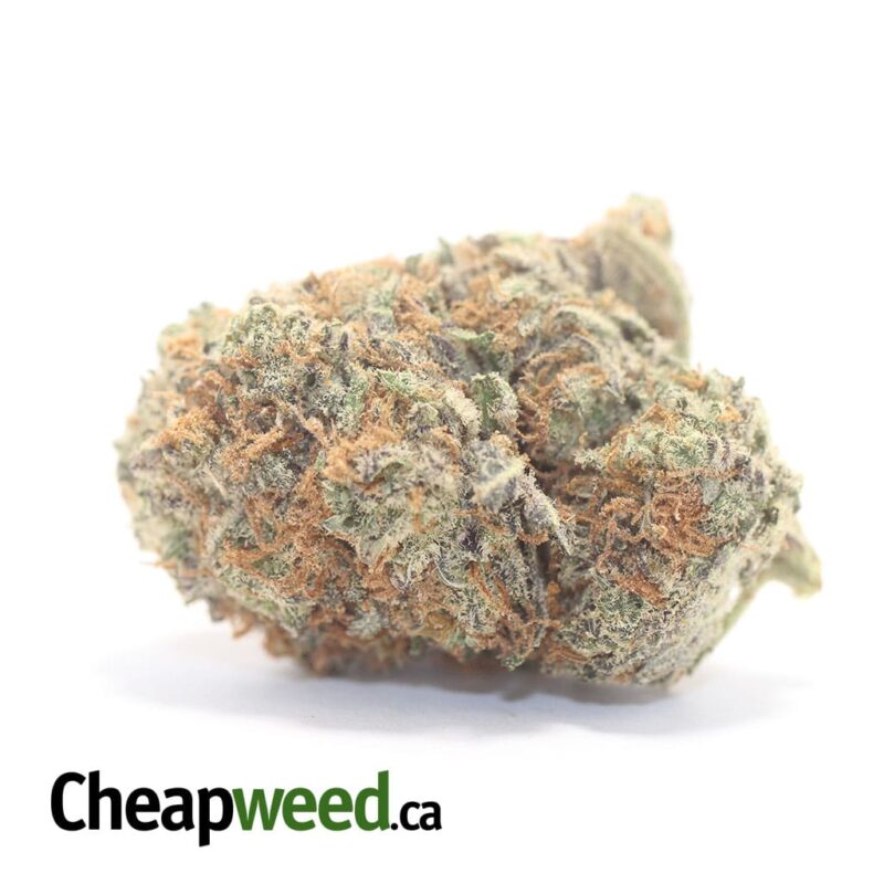 Platinum Bubba Kush