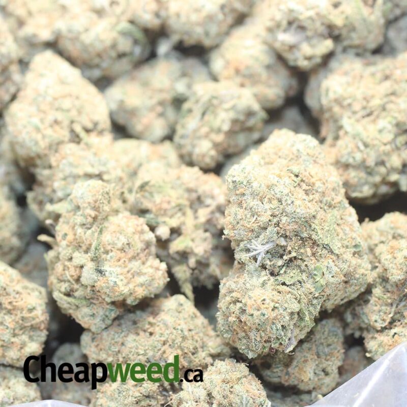 $ 71 Oz – Platinum Cheesecake - Image 3