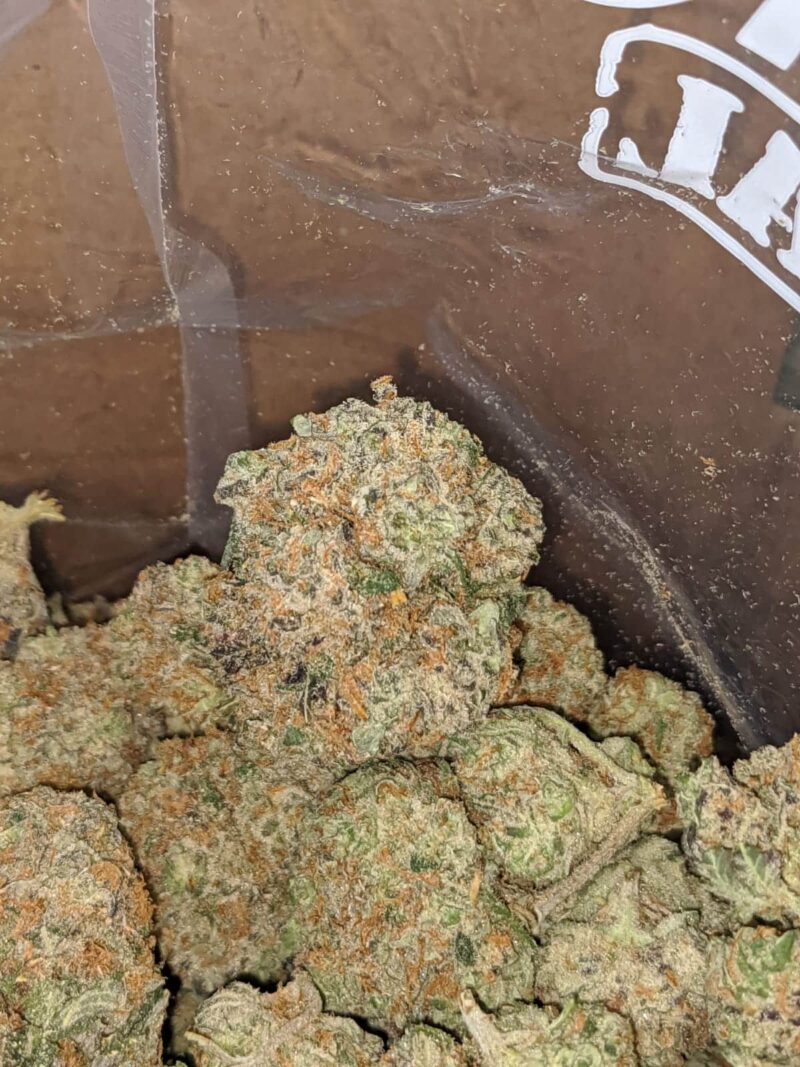 Platinum Blackberry - Image 7