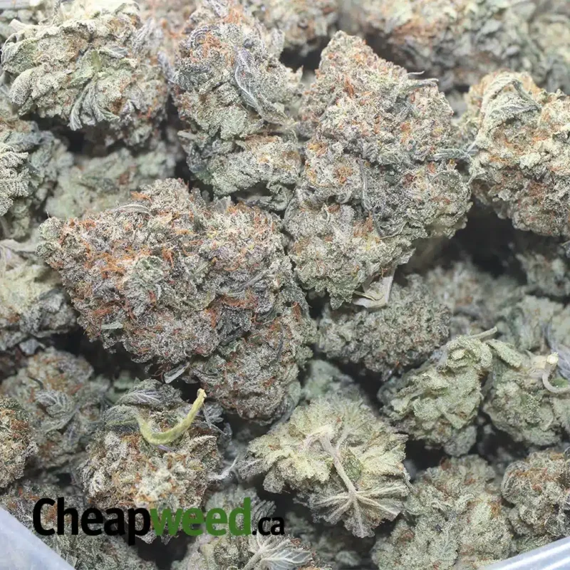 Platinum Kush - Image 3