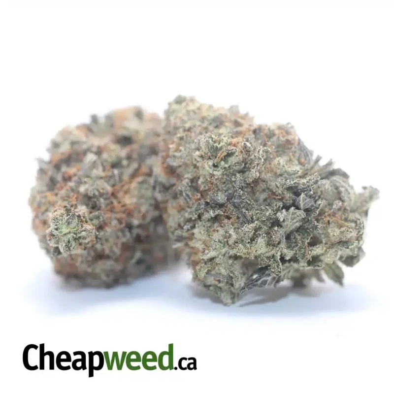 Platinum Kush - Image 2