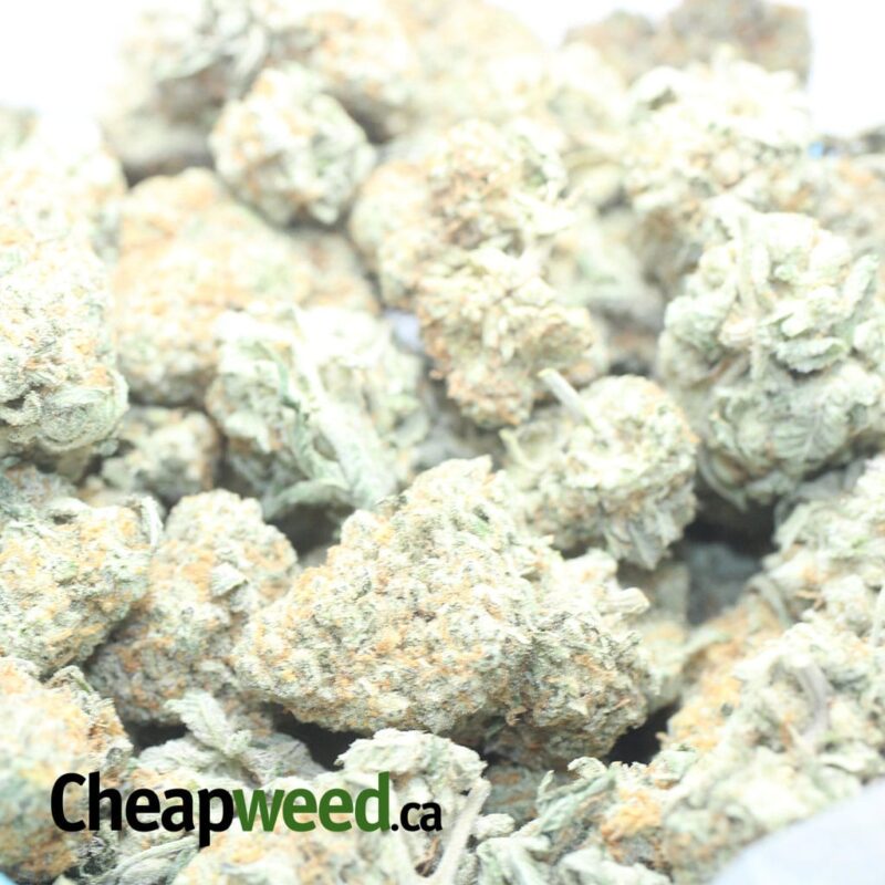 Pot Of Gold - Image 3